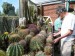 Pan Riedel se svými kaktusy